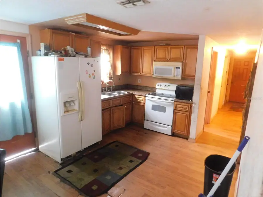 705 W Alfred Street, Tavares, FL 32778 - #3