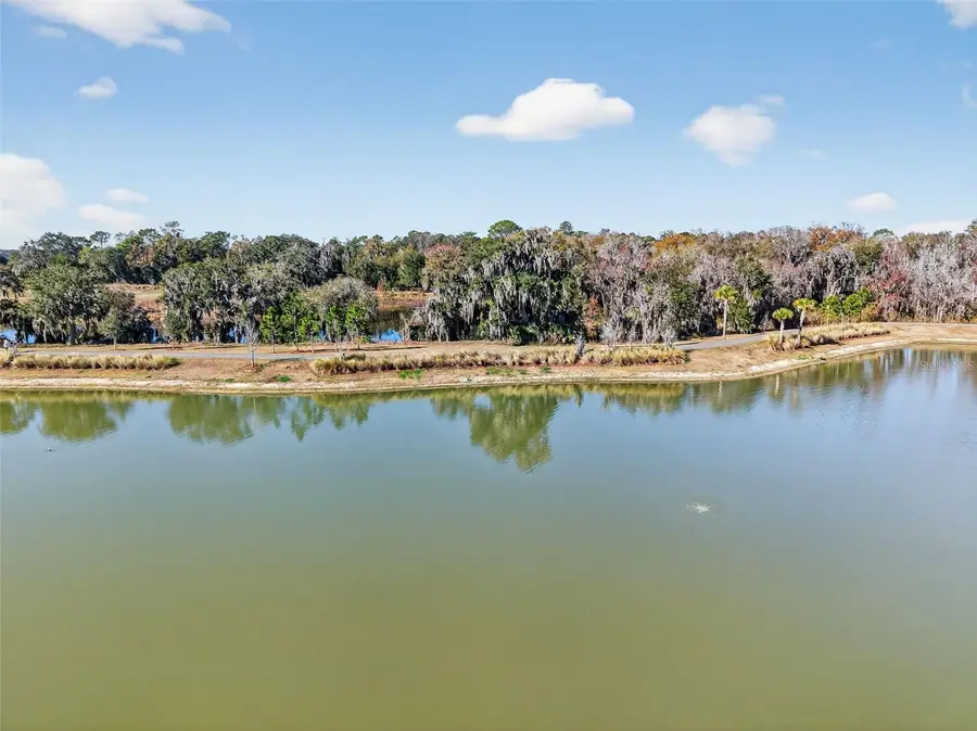 4138 Burgess Drive, The Villages, FL 32163 - #2