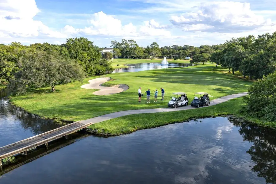 8032 Pine Hollow Drive, Mount Dora, FL 32757 - Image #3