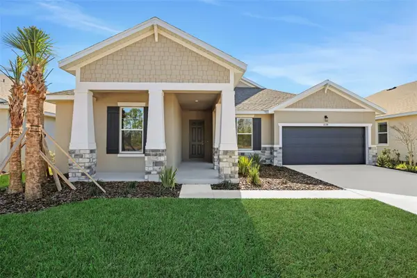 17374 Crisp Apple Lane, LAND O LAKES, FL 34638