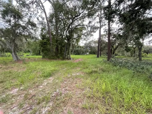 1451 Marker Road, POLK CITY, FL 33868