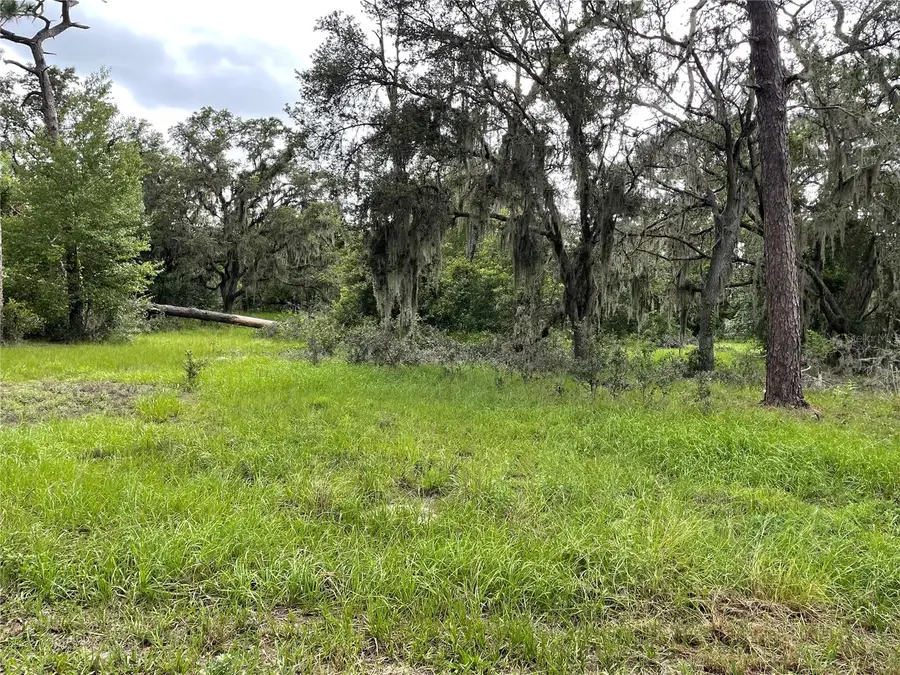 1451 Marker Road, Polk City, FL 33868 - Image #2