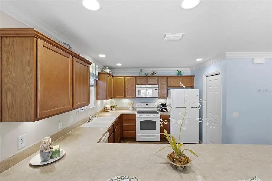 1971 Odeum Street, The Villages, FL 32162 - #3