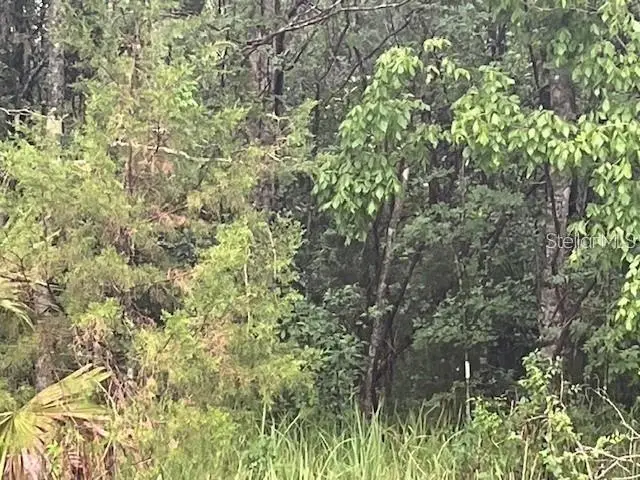 Sharon Street, Brooksville, FL 34601 - Image #2