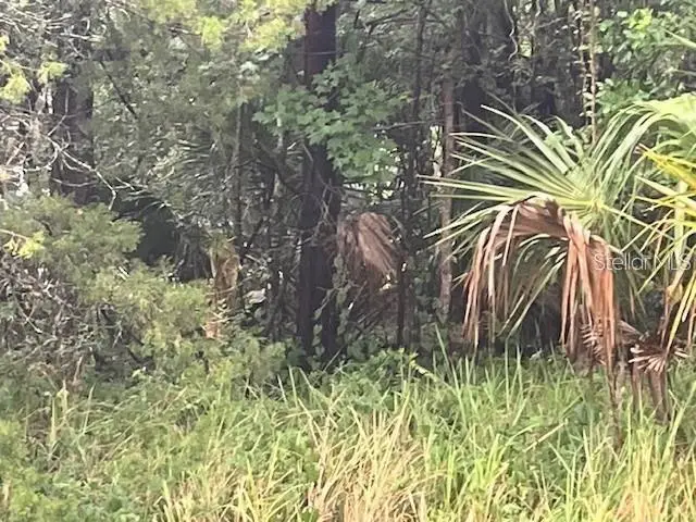 Sharon Street, Brooksville, FL 34601 - Image #3