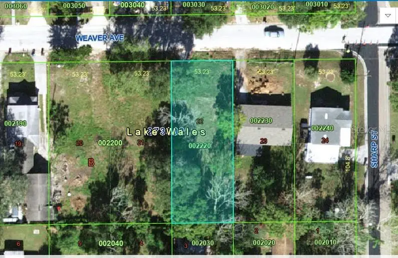 309 Weaver Avenue, Lake Wales, FL 33853 - Image #2