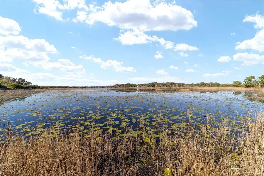 11592 Se 101st Court Rd, Belleview, FL 34420 - #3