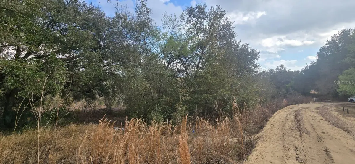 SE 252nd Ave, Umatilla, FL 32784 - #1