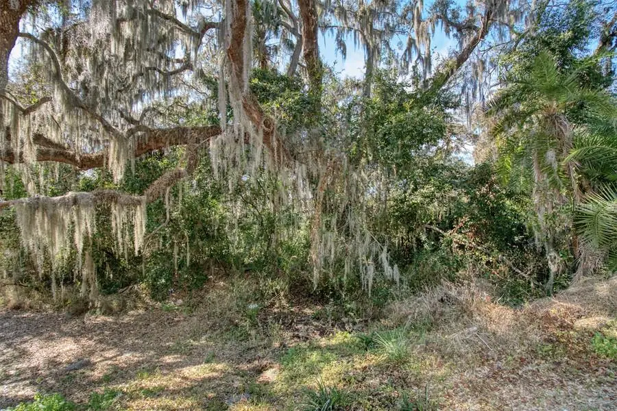 3rd St, Montverde, FL 34756 - #1