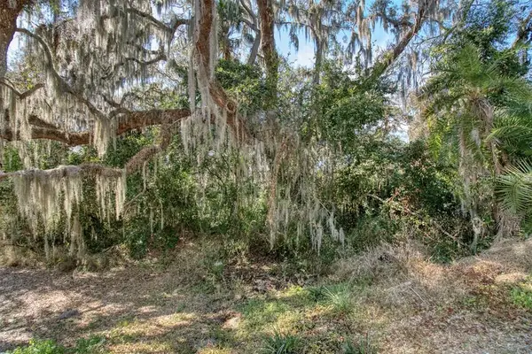 3rd St, MONTVERDE, FL 34756