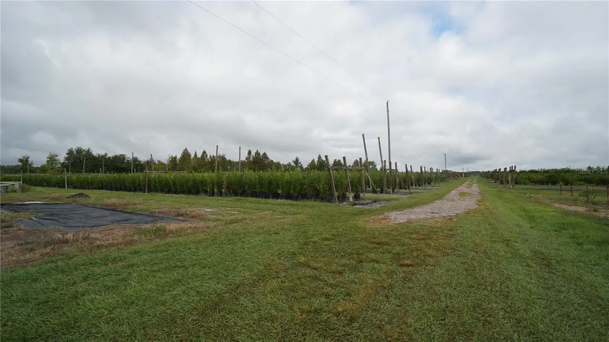 Douglas Road, Groveland, FL 34736 - #1
