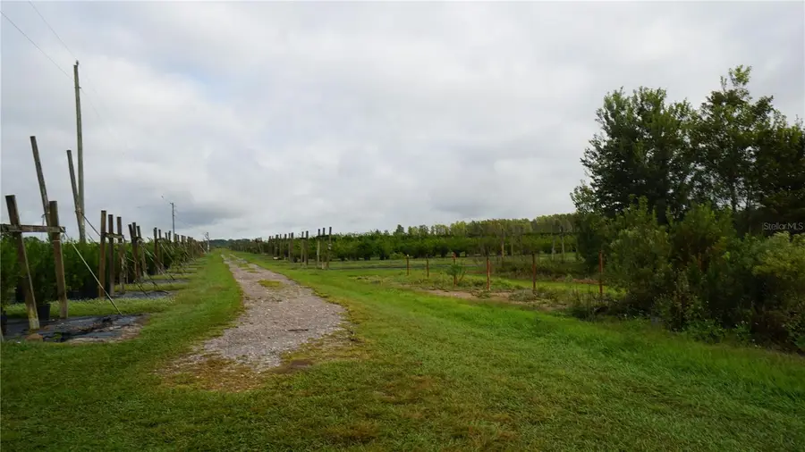 Douglas Road, Groveland, FL 34736 - #2