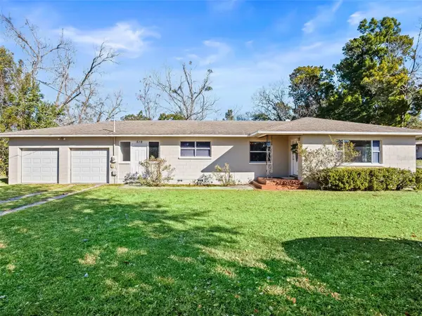 519 Huey Street, WILDWOOD, FL 34785