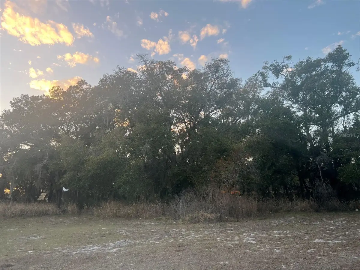 522 Palmetto Street, Eustis, FL 32726 - #1