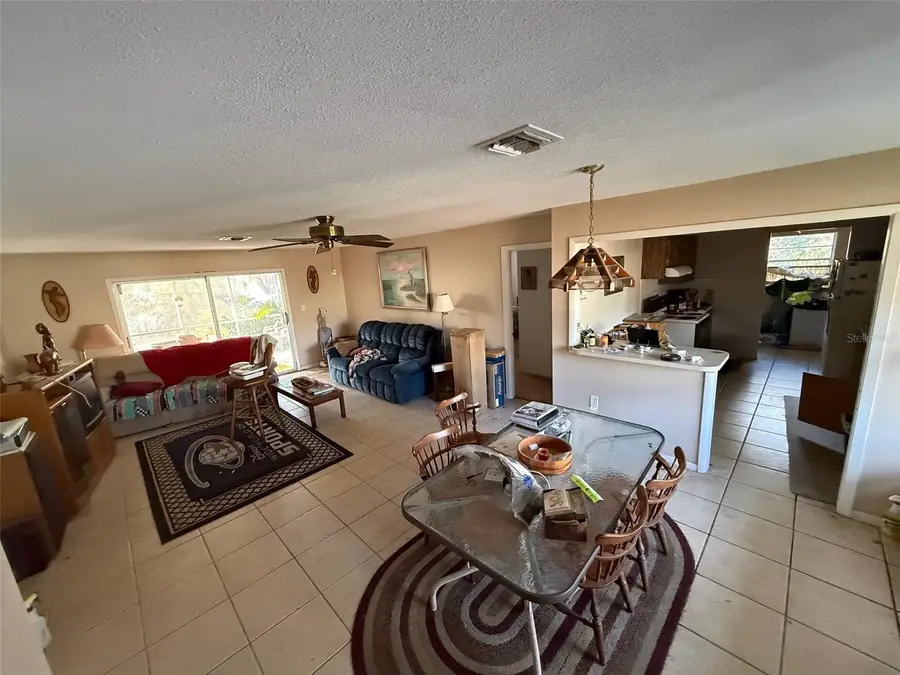 109 E Cedar Street, Howey In The Hills, FL 34737 - #3