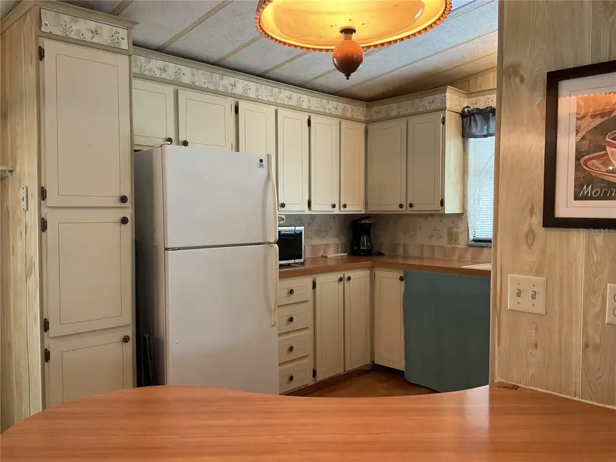 309 S Timber Trail, Wildwood, FL 34785 - #2