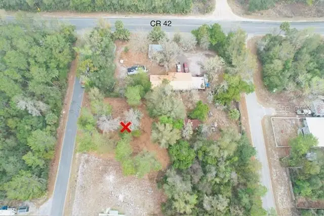 Palm Street, Paisley, FL 32767 - #2