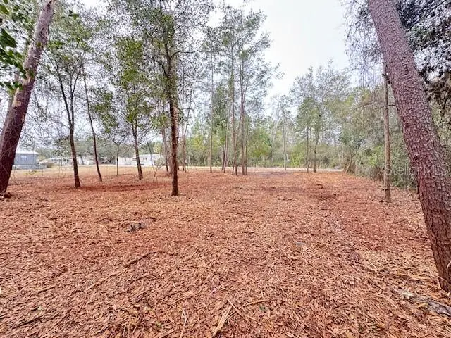 Palm Street, Paisley, FL 32767 - #3