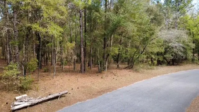 Sw 73 Loop, Dunnellon, FL 34432 - #3