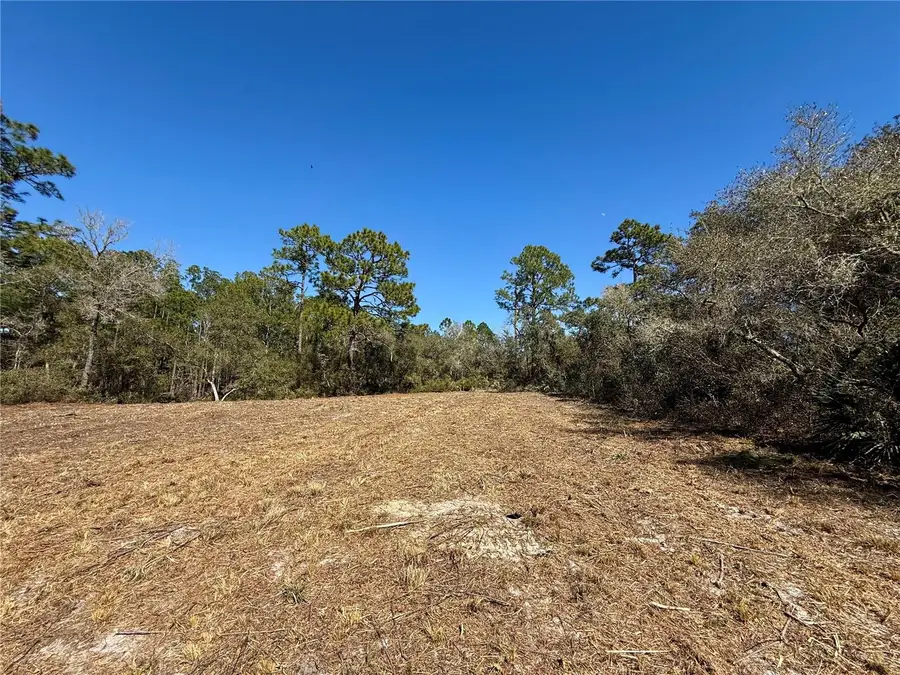 LOT 11 Poinciana Street, Eustis, FL 32736 - #2