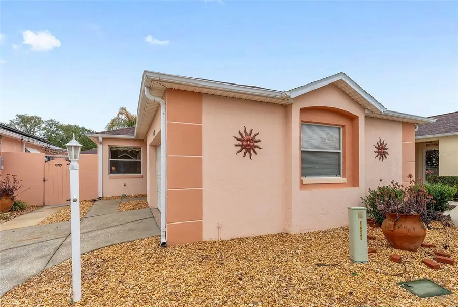 807 Alvarado Place, The Villages, FL 32159 - #3