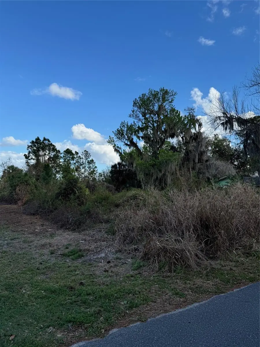 Cove Road, Tavares, FL 32778 - #1