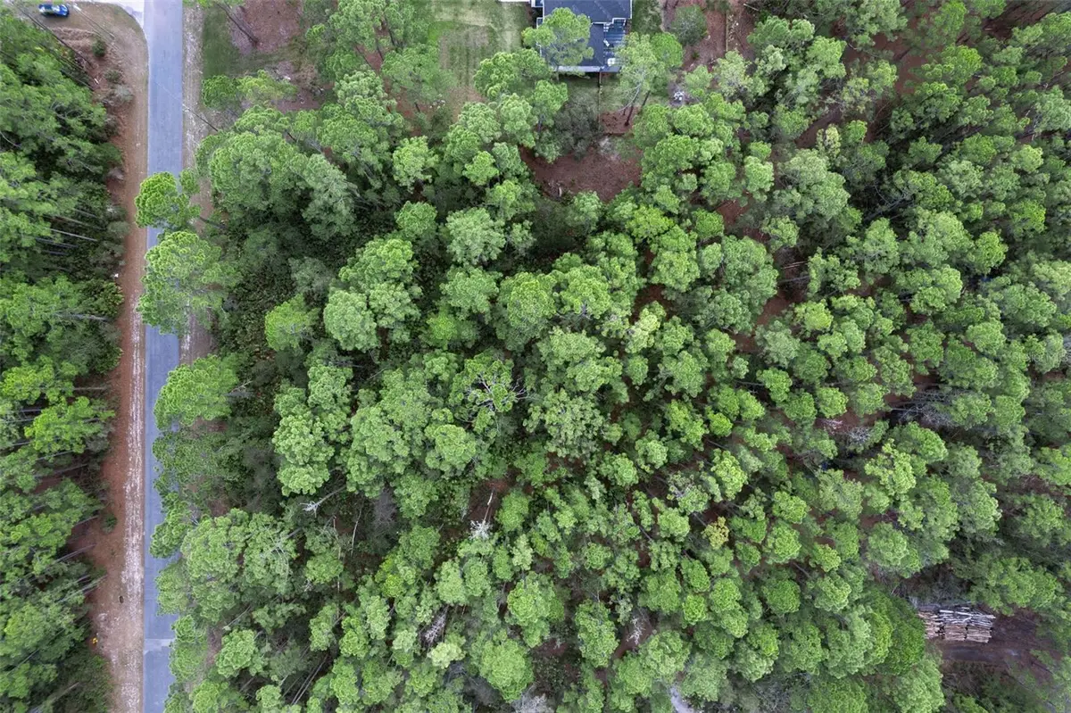 Cashew Street, Eustis, FL 32736 - #1