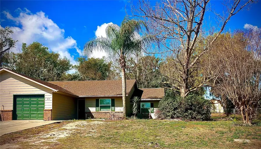 215 Fernwood Street, Leesburg, FL 34748 - #3