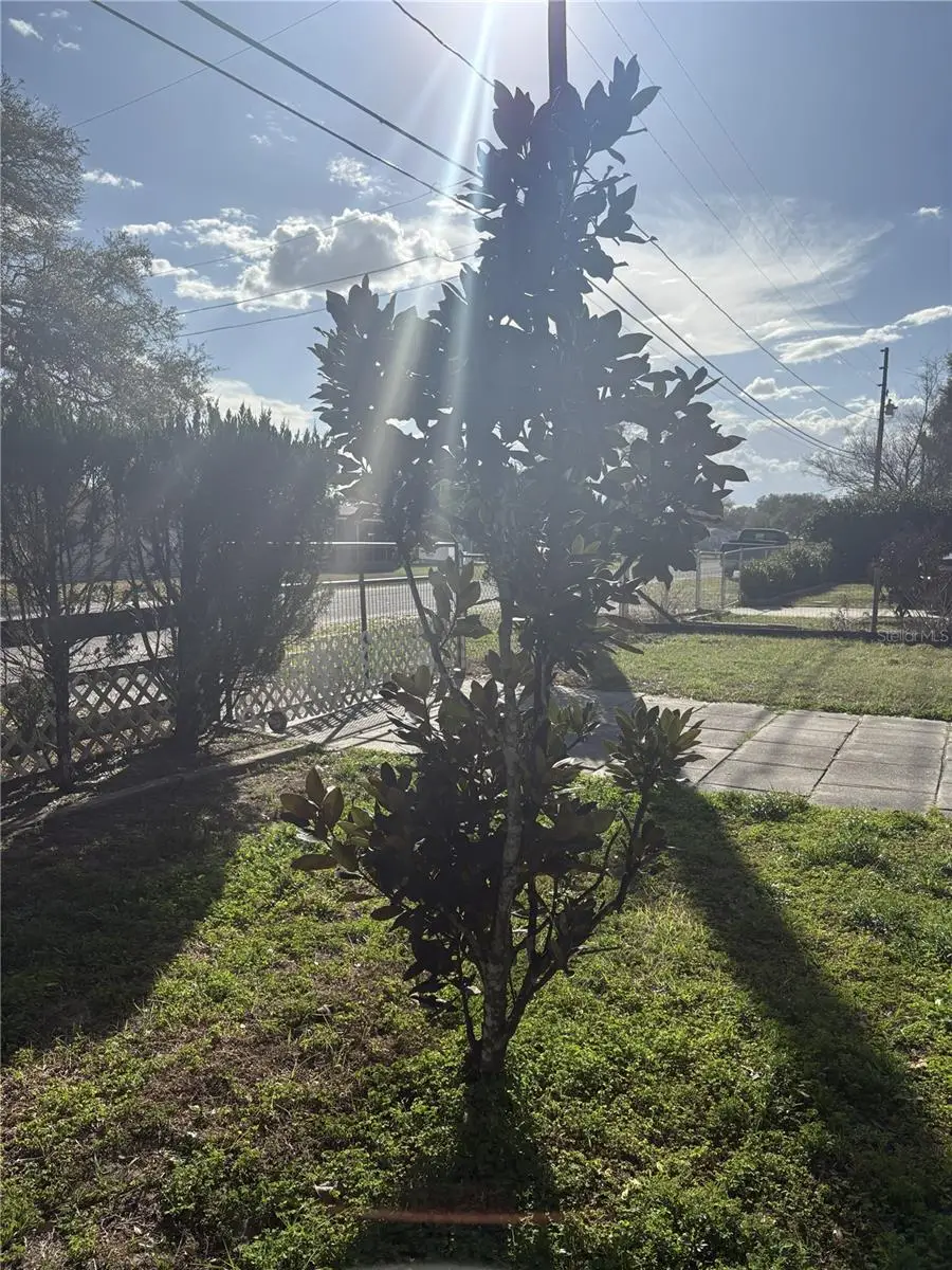 10385 SE 165th Place, Summerfield, FL 34491 - #3