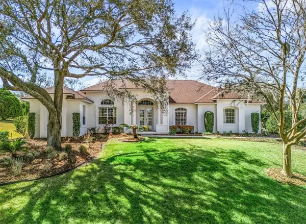 39407 Treeline Drive, LADY LAKE, FL 32159