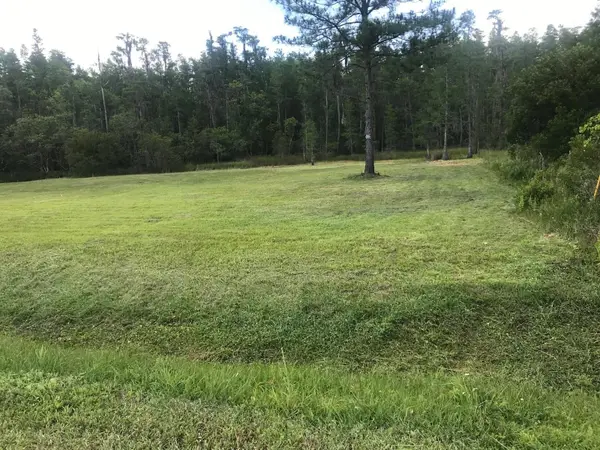 26545 C C Lane, WESLEY CHAPEL, FL 33544