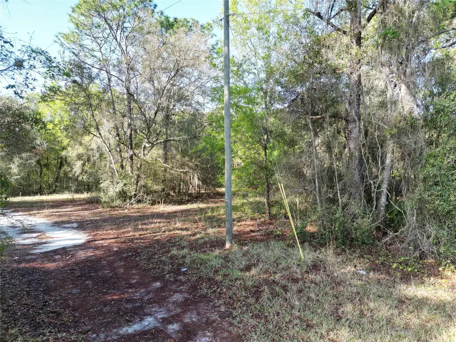 0000 E Hwy 25, Belleview, FL 34420 - #2