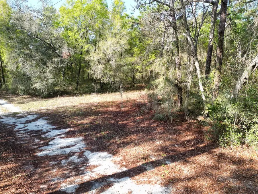 0000 E Hwy 25, Belleview, FL 34420 - #3