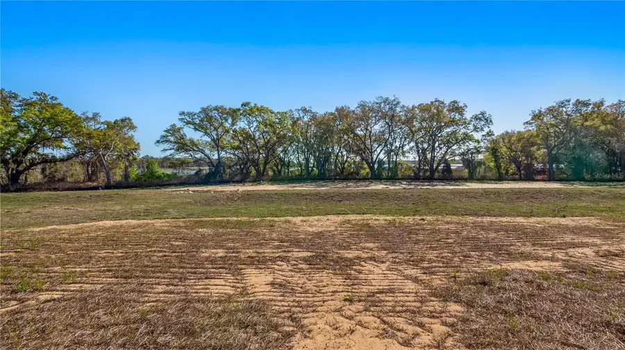 Marigold Belle Circle, Clermont, FL 34711 - #3