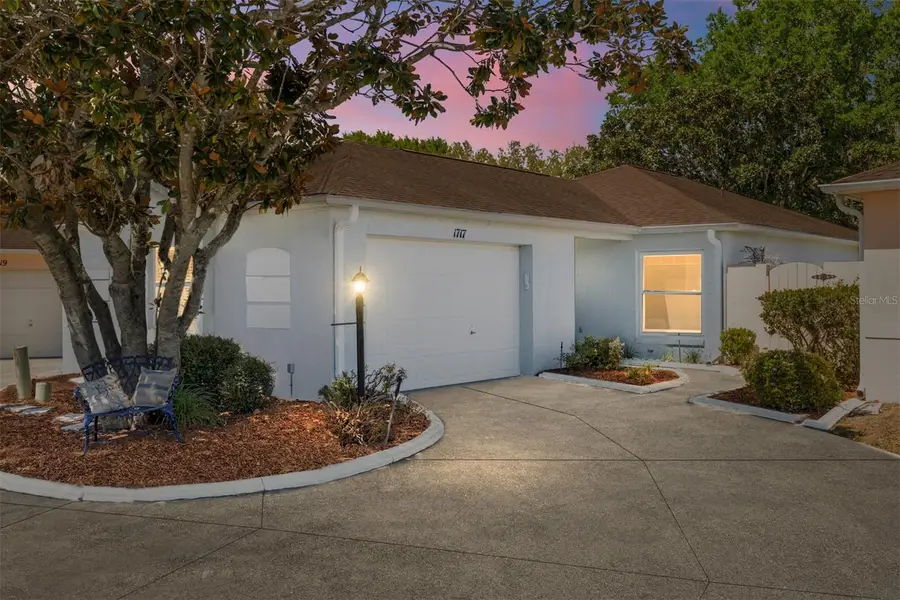 1717 Francisco Street, The Villages, FL 32159 - #2