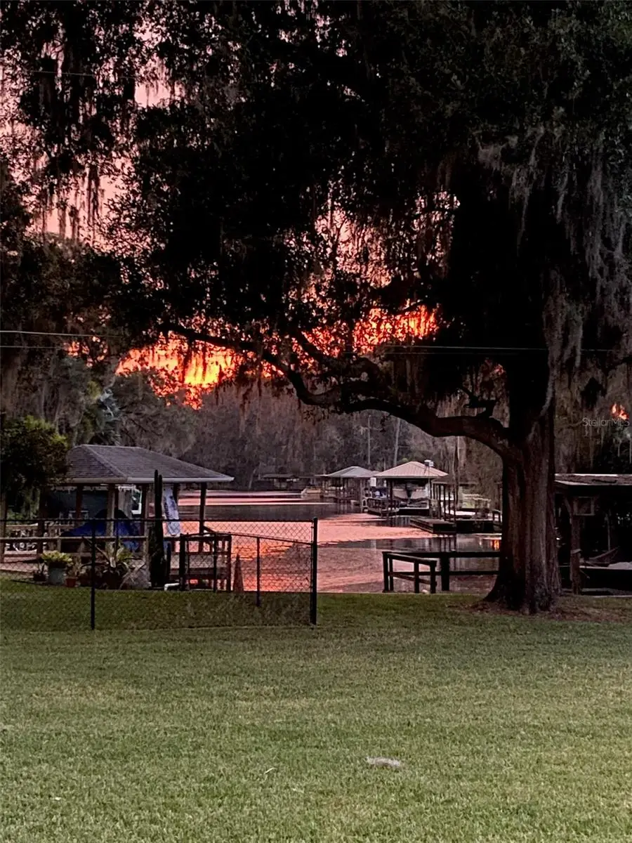 111 Cardinal Lane, Eustis, FL 32726 - #1