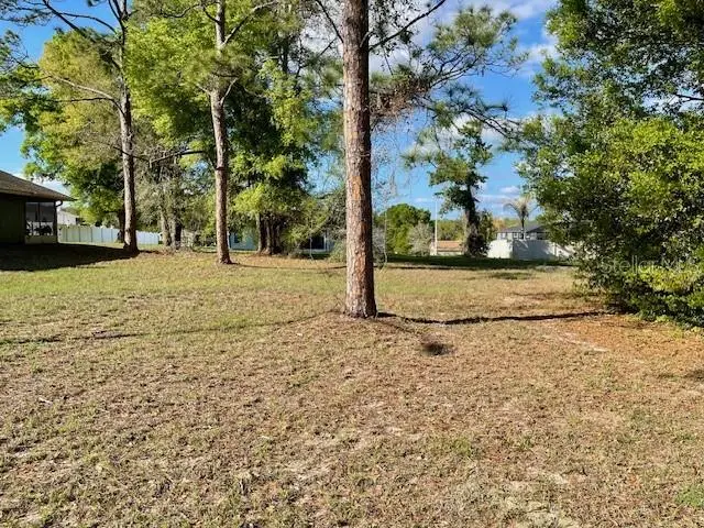 Highland Trail, Lady Lake, FL 32159 - #2