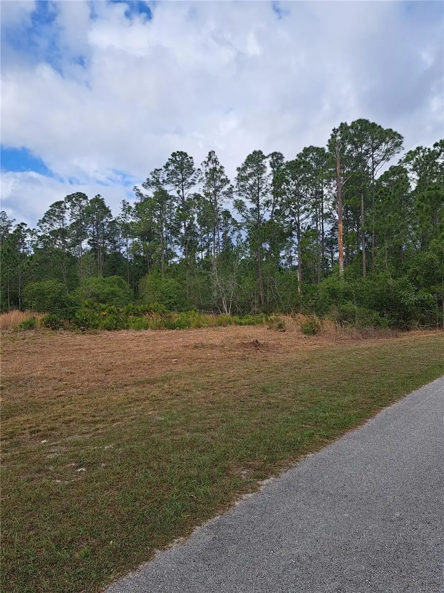 Greengrove Boulevard, Clermont, FL 34714 - #2