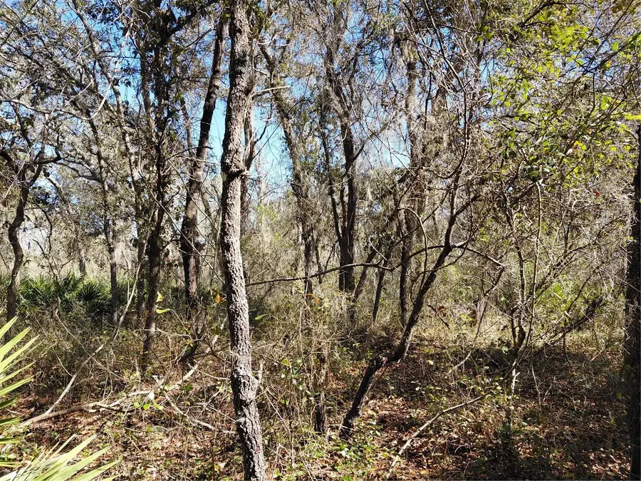 8123 Wheystone Drive, Webster, FL 33597 - #3