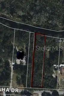 Ocklawaha, Leesburg, FL 34788 - #3