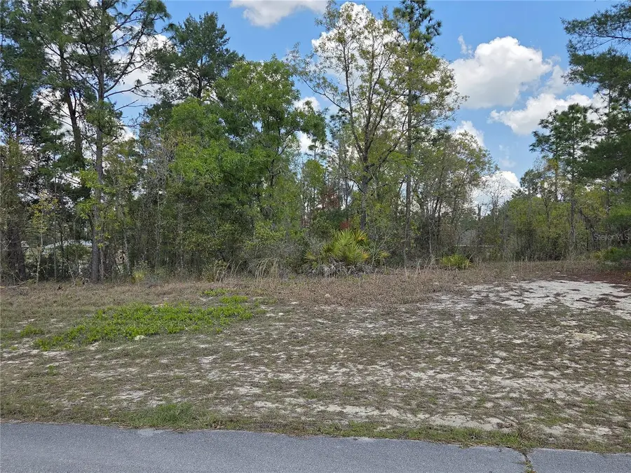 SW 139th Place Road, Ocala, FL 34473 - #2