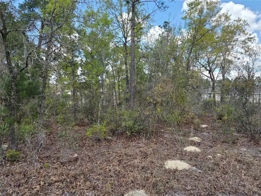 SW 139th Place Road, Ocala, FL 34473 - #3