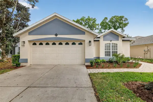 6027 Spring Creek Court, MOUNT DORA, FL 32757
