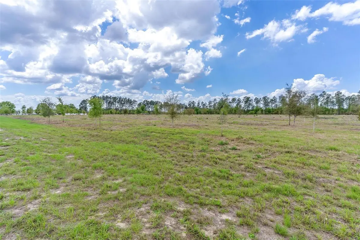 SE 170th Avenue, Weirsdale, FL 32195 - #1