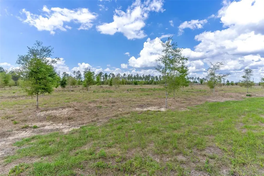SE 170th Avenue, Weirsdale, FL 32195 - #2