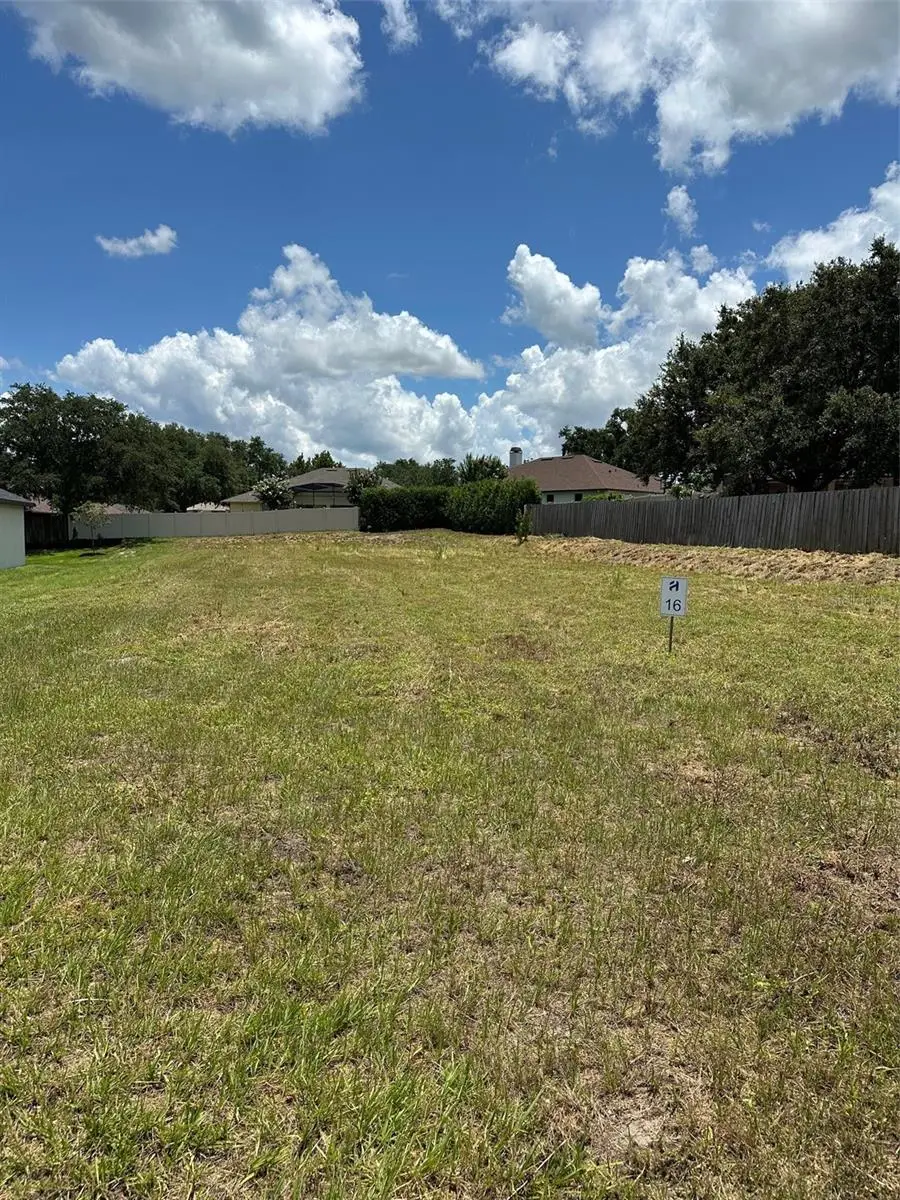 16000 Matanilla Drive, Clermont, FL 34711 - #2