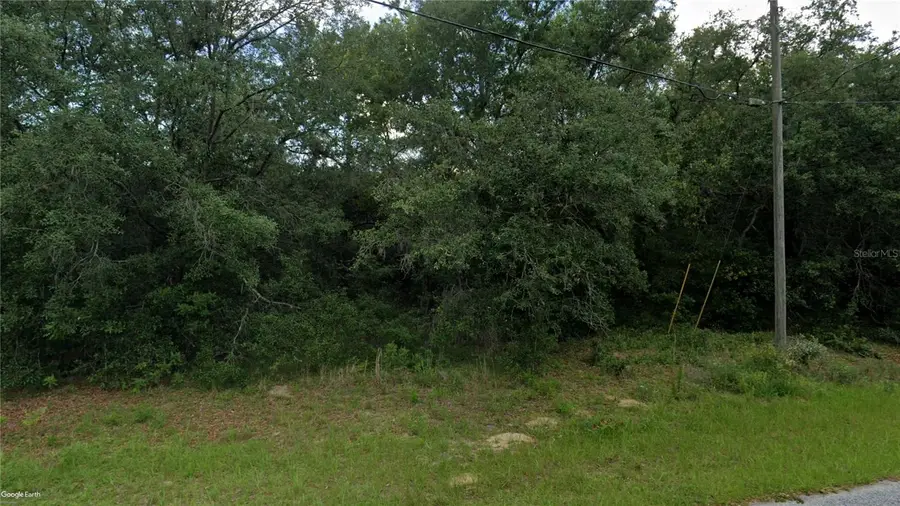 10632 N Skylark Terrace, Citrus Springs, FL 34434 - #2