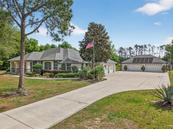 19703 Twin Ponds Road, UMATILLA, FL 32784