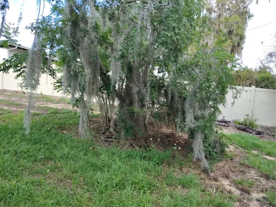 0 E Myrtle Street, Howey In The Hills, FL 34737 - #3