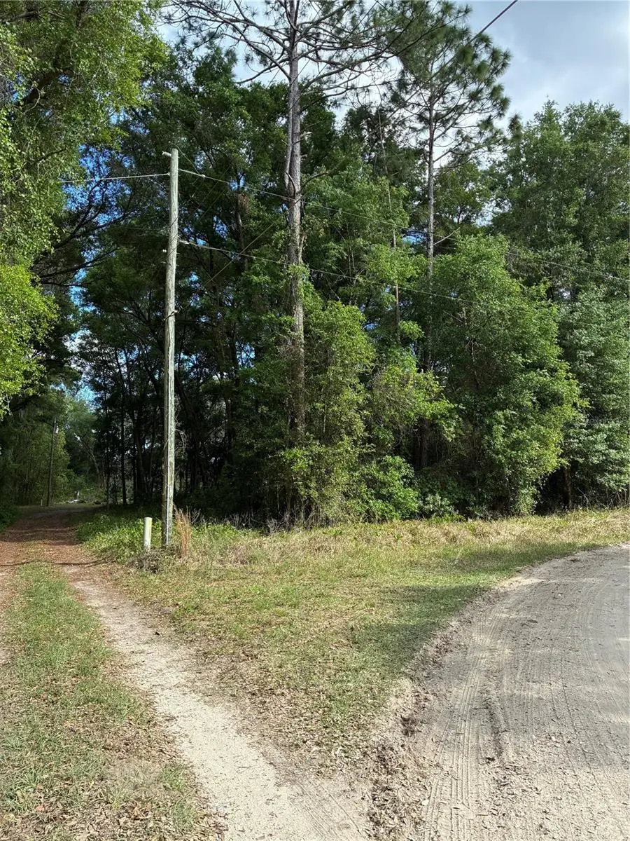 Se 142nd Ave And Se 120th Pl, Ocklawaha, FL 32179 - #2